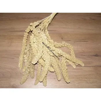 Krmivo pro ptáka LECODE H.K. INTLĹ Senegalské proso klasy žluté 250 g