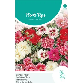 Semeno Semena - HVOZDÍK ČÍNSKÝ PLNOKVĚTÝ směs