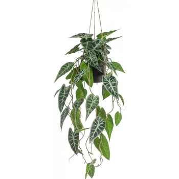 umělá květina Umělá květina Alocasia v závěsném květináči, 80cm