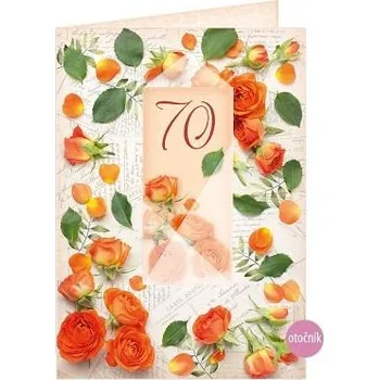 ARGUS 55 071 00 75 673c70 Přání k narozeninám