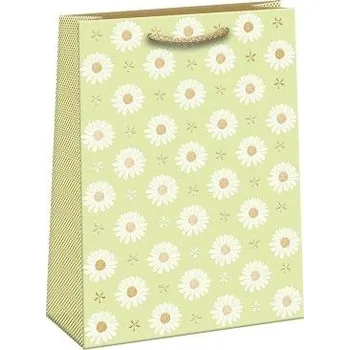 Dárková taška ARGUS Dárková papírová taška T5L (23.5 x 33 cm) 07590182