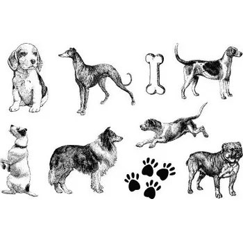 Dětské razítko Gelová razítka- Psi