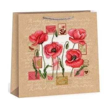 Dárková taška ARGUS Dárková papírová taška T7N (33 x 33 cm) 07500001