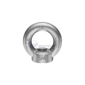 Matice Matice závěsná DIN 582 M30 ZB, 1 ks FT0I030000B