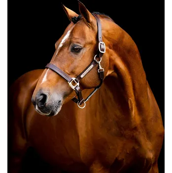 HORSEWARE Ohlávka kožená Signature Horseware, hnědá EXTRA FULL