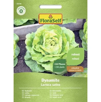 Semeno Salát hlávkový Dynamite FloraSelf