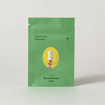 CBD Gelat.OG – feminizovaná semena | Seedsman Feminized (Ks): 1