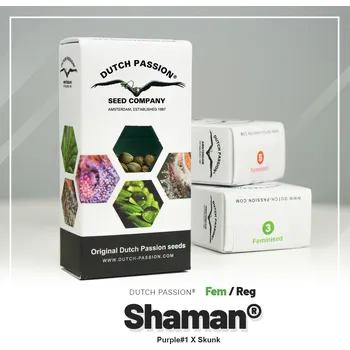 Semeno Shaman® – feminizovaná semena | Dutch Passion Feminized (Ks): 3 + 1 Zdarma