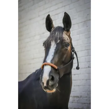 Provazová ohlávka PENELOPE AMERICAN