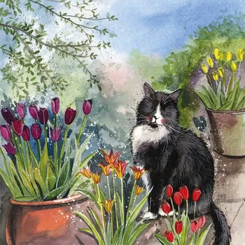Přání v obálce Cat and Tulips, kočky od Alex Clark 14*14 cm (Přání s kočkou, kočka)
