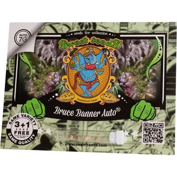 Semeno Bruce Banner AUTO – samonakvétací semena | Sweet Seeds Feminized (Ks): 3 + 1 Zdarma
