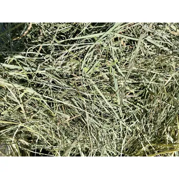 Krmivo pro hlodavce Prémiové seno druhá seč - Otava 6kg