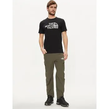 Pánské oblečení The North Face T-Shirt Woodcut Dome NF0A87NX Černá Regular Fit M