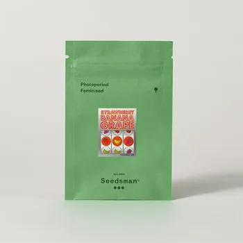 CBD Strawberry Banana Grape – feminizovaná semena | Seedsman Feminized (Ks): 1