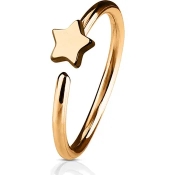 Piercing Šperky4U Zlacený piercing do nosu/ucha kruh s hvězdou - N0053-RD