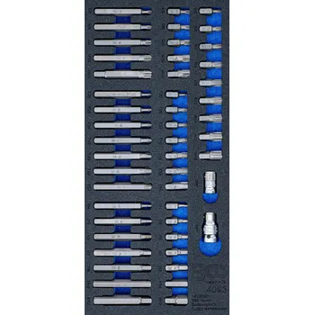 Dílna BGS 4093, Vložka do dílenského vozíku 1/3: sada kombinovaných bitů | 49dílná