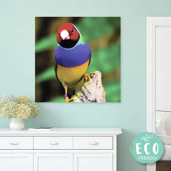 Obraz Fotoobraz na plátně z vlastní fotografie 50 x 50 cm