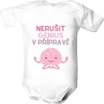 Kojenecký body Dětské body s potiskem Nerušit, génius v přípravě dětské