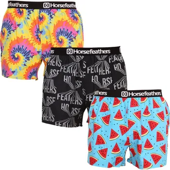 Trenýrky 3PACK pánské trenky Horsefeathers Frazier vícebarevné (AM166BD34U) L Možnost vrácení zboží ZDARMA do 120 dnů!