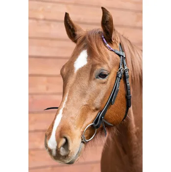 Vybavení pro koně Sedlářská výroba Westernová uzdečka s ledovým achátem pro harmonizaci emocí a mysli Barva: black