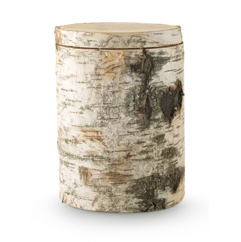 Smuteční dekorace Dřevěná urna Nature - Bříza