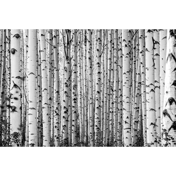 Plakát Plakát, Obraz - Black Canyon og Gunison, Kristin Castenschiold