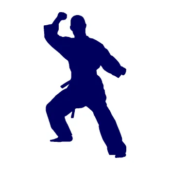 Polep vozidla Karate 014 pravá (23 - tmavě modrá) SAMOLEPKA NA AUTO, NÁLEPKA, FÓLIE, POLEP, TUNING, VLASTNÍ TEXT, TISK, AUTOSAMOLEPKY.cz, POLEPY, OBRÁZEK, LOGO, 3D STICKERS