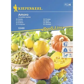 Zahrada Tykev Amoro F1 Kiepenkerl