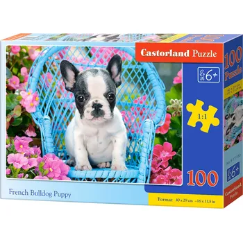 Puzzle Puzzle Castorland 100 dílků premium - Štěně Francouzského buldočka