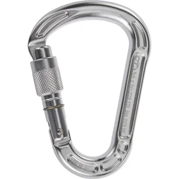 Horolezectví Karabina Climbing Technology Concept SG silver