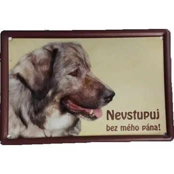 Plechová cedule Plechová psí cedule, Kavkazský ovčák, Nevstupuj bez mého pána!
