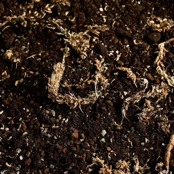 Substrát Náš substrát na kokedamu bez rašeliny