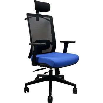 Kancelářská ergonomická židle DVIS — více barev Modrá