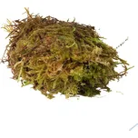 HabiStat Sphagnum Moss přírodní mech