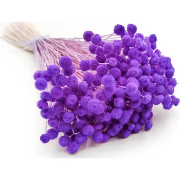 mech-mech.cz Sušené Botao - (Amarelinho) - tmavě levandulová