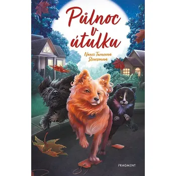 Půlnoc v útulku - Nanci Turner Steveson