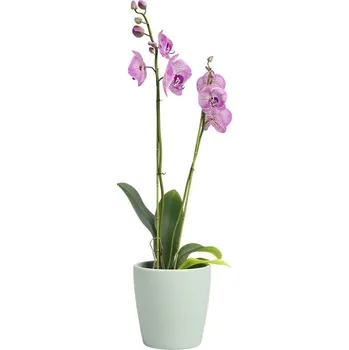 Květináč Keramický květináč ø 14 cm Thalia – Artevasi ID_1646566