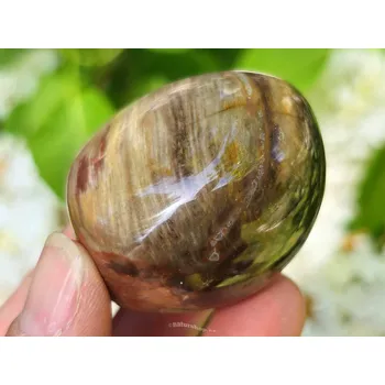 Přírodní kámen Zkamenělé dřevo hladký kámen z Madagaskaru 87g