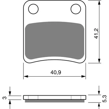 Brzda pro motocykl GOLDFREN Brzdové destičky GOLDFREN 303 S3