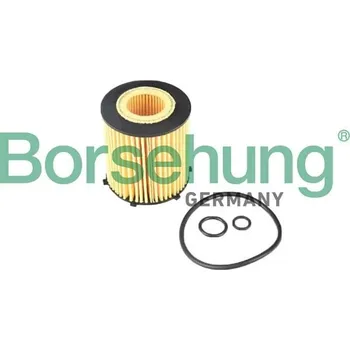 Autodíl Olejový filtr, , Borsehung, B12405