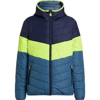 Pánská softshellová bunda Outdoorová bunda McKinley Ricos Thermal Jacket Kids 128