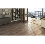 CERSANIT FINWOOD T0216 19 x 60 x 0,8 hnědá 1 m2