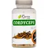 Přírodní produkt Revix Cordyceps 500 mg 90 cps.