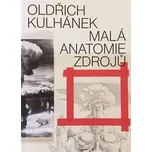 Malá anatomie zdrojů - Oldřich Kulhánek (2020, brožovaná)