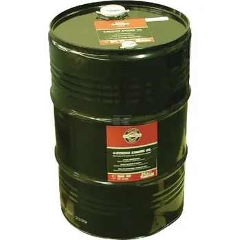 Motorový olej Motorový olej SAE30 60 l Briggs & Stratton 100047E do zahradní sekačky 4 taktní original