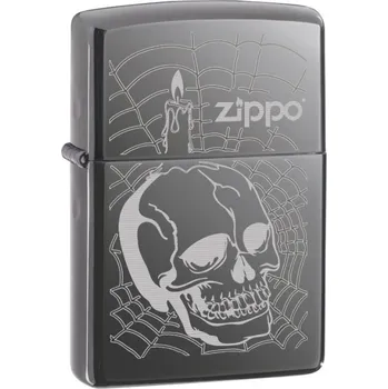 25428 Skull with Spiderweb