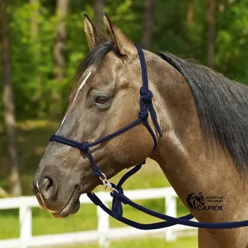Ohlávka provazová Busse -RINGE- - Tmavě modrá - Pony/Cob