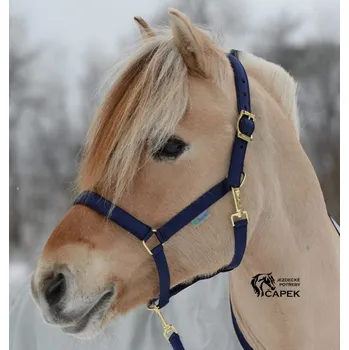 Jezdectví Ohlávka Bucas -DUBLIN- - Fialová - Cob