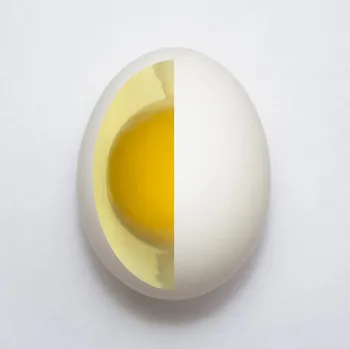 Plakát Plakát, Obraz - Inner Egg, Adelino Alves