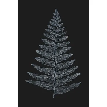 Plakát Plakát, Obraz - Botanica Minimalistica Bleu, Kubistika